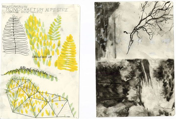 Architecture / Fern Pavilion
