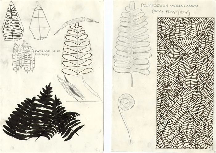 Architecture / Fern Pavilion